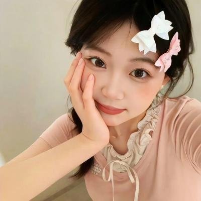 完美伴侣